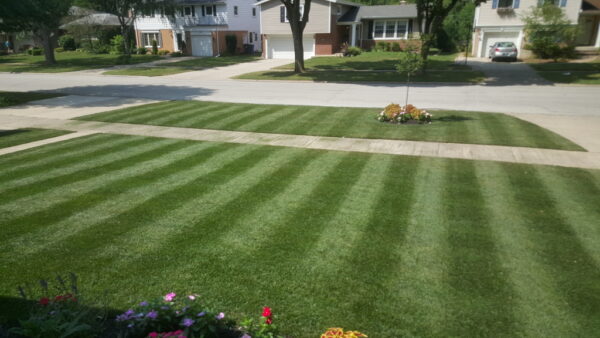 greengrass - Xtreme Irrigation & Design