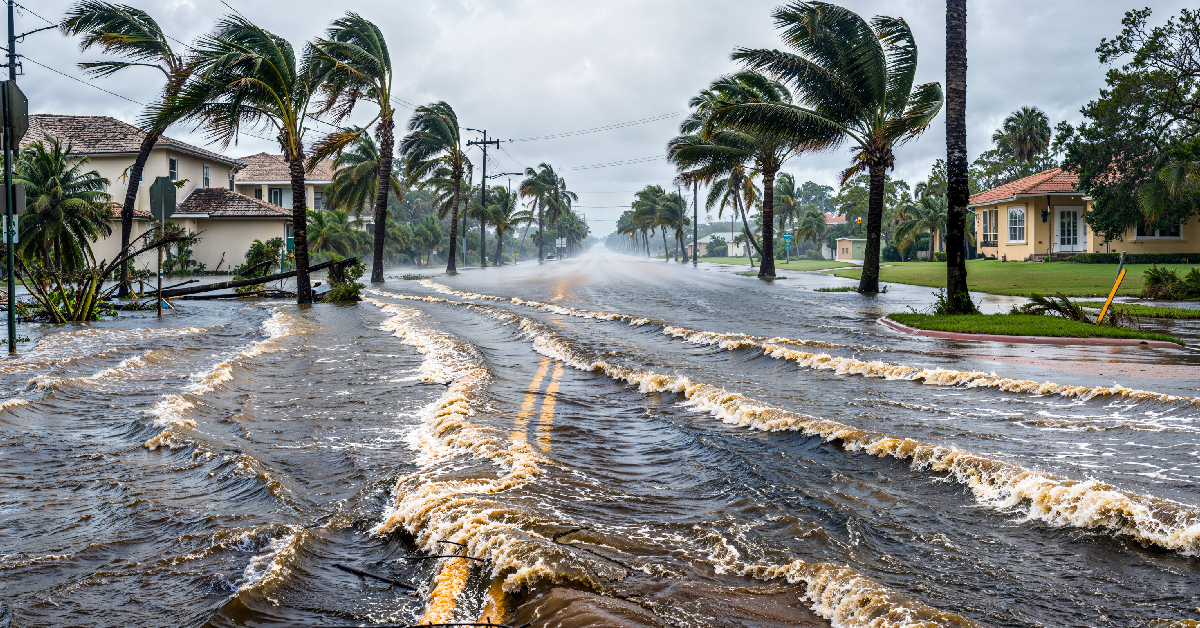 Flooded suburban street with palm trees on both sides and rushing water covering the road after a tropical storm, houses visible along the curbside scanline ahead.