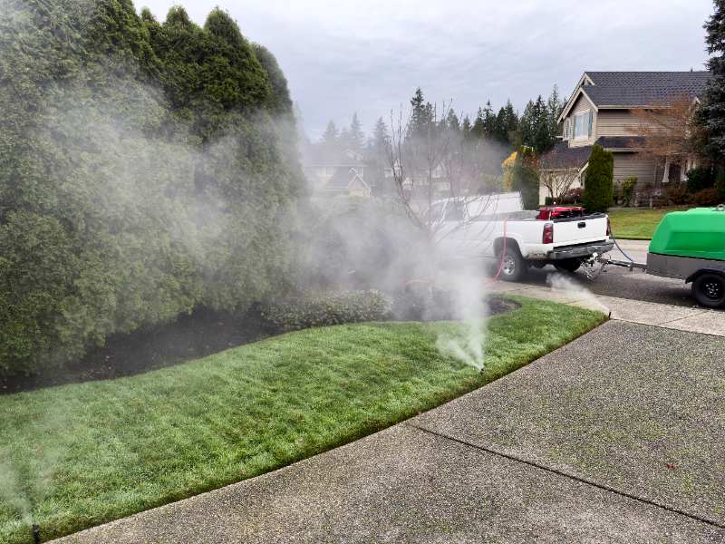 Outdoor pest-control spraying in a suburban yard; mist rises near a hedge and lawn.